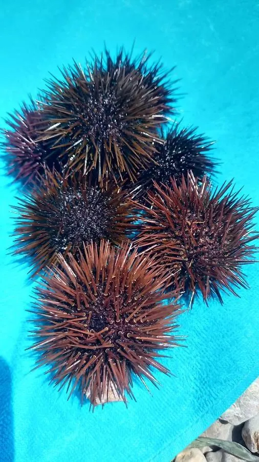 Appartamento Tra mare e profumi Trapani